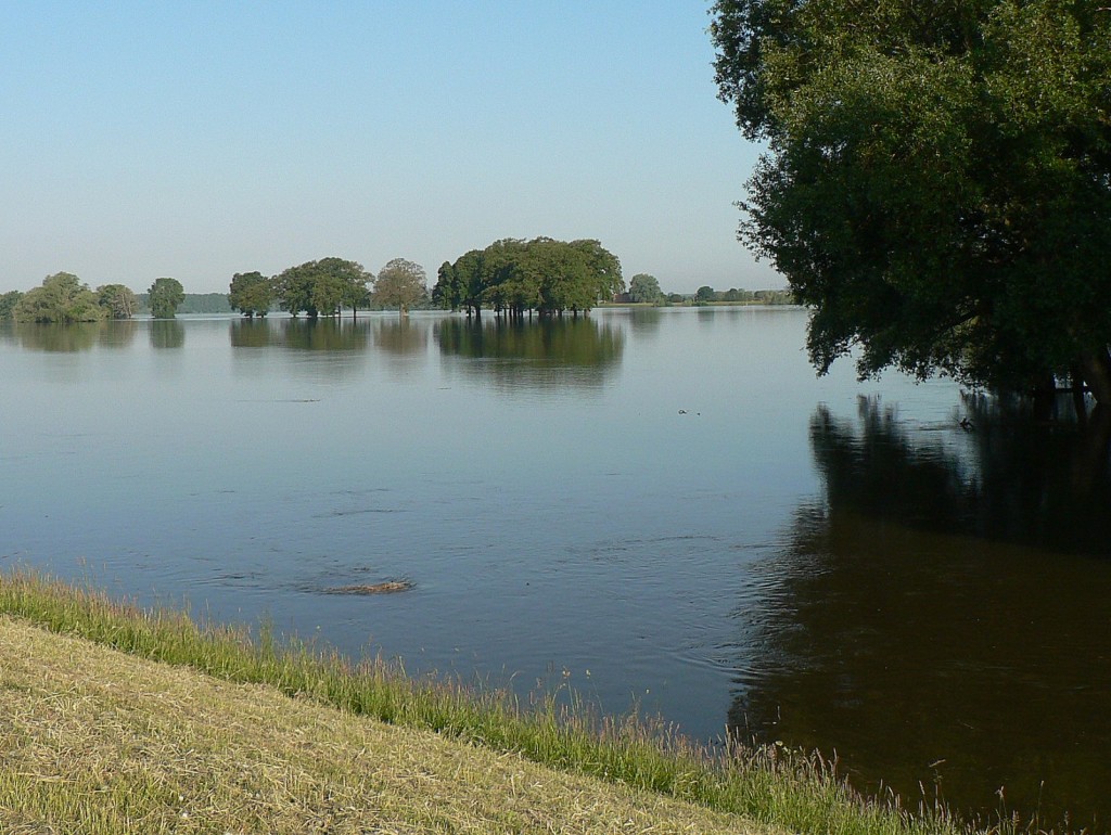Hier unten kann man jetzt schon gut erkennen wie stark die Strömung der Elbe auf den gesamten Deich drücken wird.