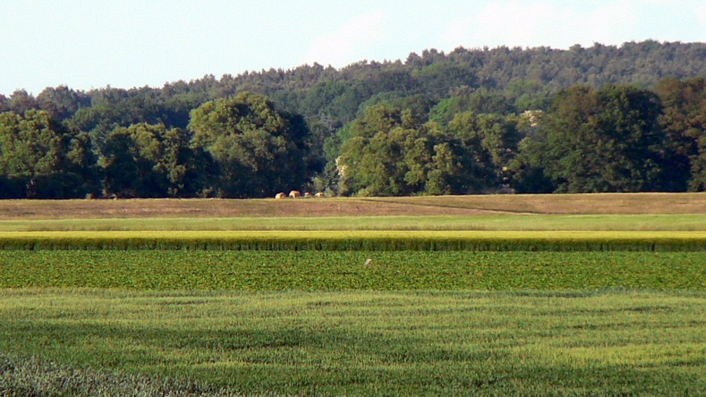 Hoffentlich nur Rundballen am Seegedeich?