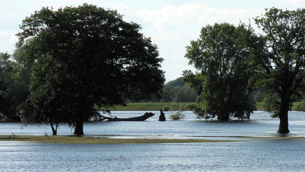 Den alten Mann hat es wohl bei einem der Unwetter in den letzten Tagen umgehauen